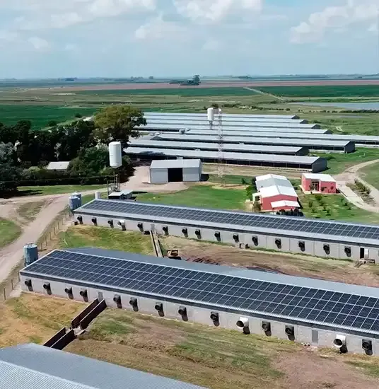 Campo con instalación solar para riego y producción agropecuaria